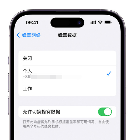 荆门苹果维修服务分享如何在iPhone上使用双卡 